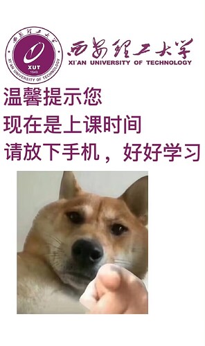 55d587668ab2e51a1b0f589d362df40e